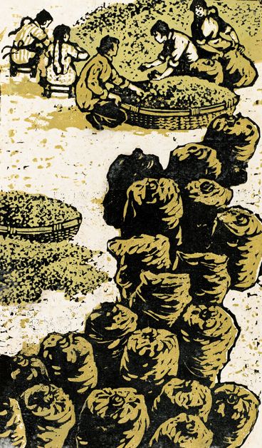 包包精粮4.jpg