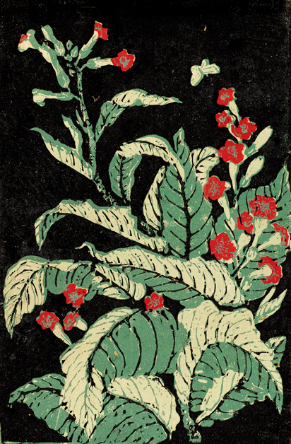 边地鲜花（组画之三）2.jpg