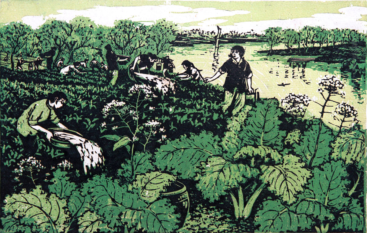 《精心培育》 41x36cm 1956年（中国美术馆藏）_副本.jpg