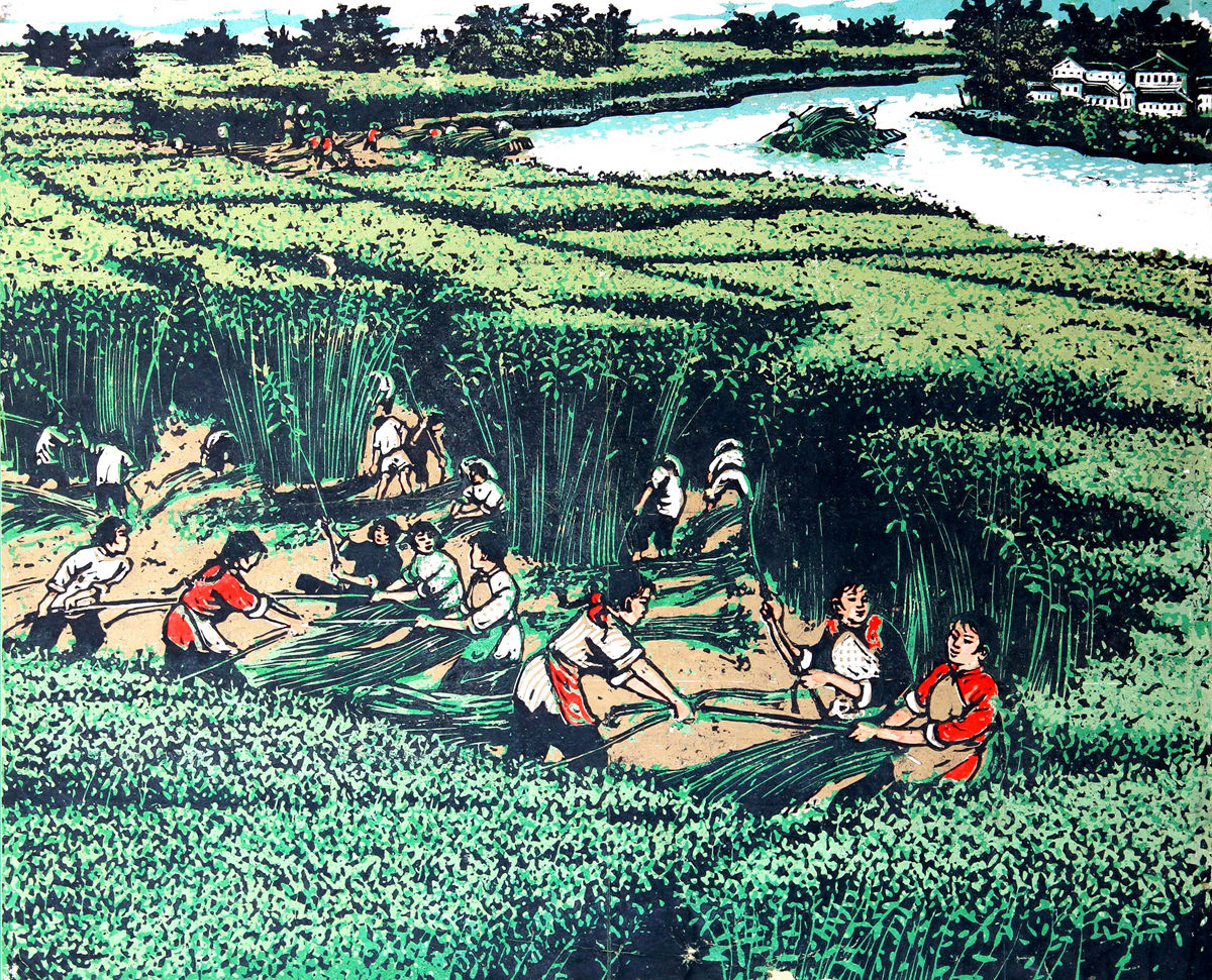 《今年更好》 40.4x49cm 1960年（中国美术馆藏  广东美术馆藏）_副本.jpg
